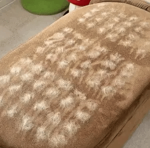 The Lush Brush™