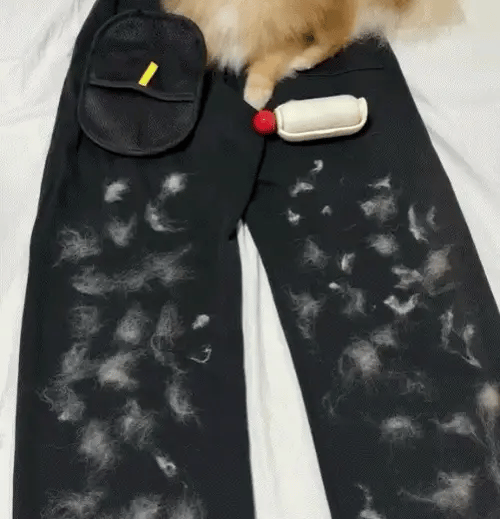 The Lush Brush™
