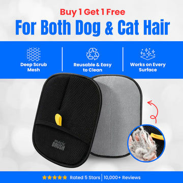 Embrace Fur-Free Moments with Your Best Friend.
